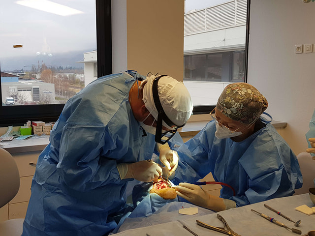 Travail à 4 mains en implantologie, gestuelle de l'assistante dentaire.